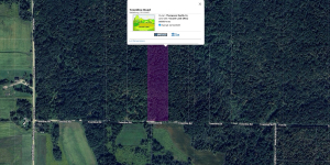 Townline Road Parcel B