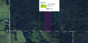 Townline Road Parcel C