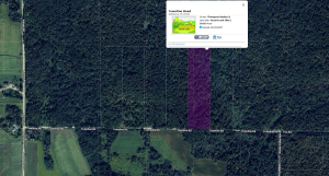 Townline Road Parcel D