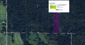 Townline Road Parcel E