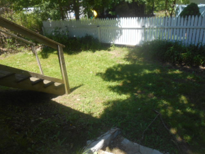 DSCN3664