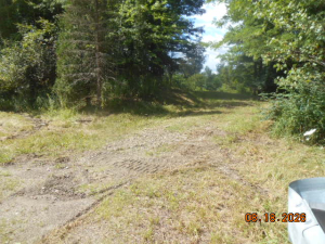 DSCN4024
